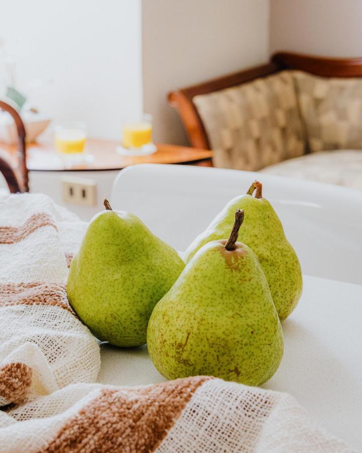 سانتياغو Orly Suites المظهر الخارجي الصورة